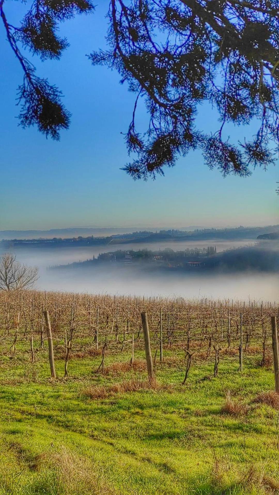 Agriturismo Casa Alle Vacche San Gimignano Eksteriør bilde