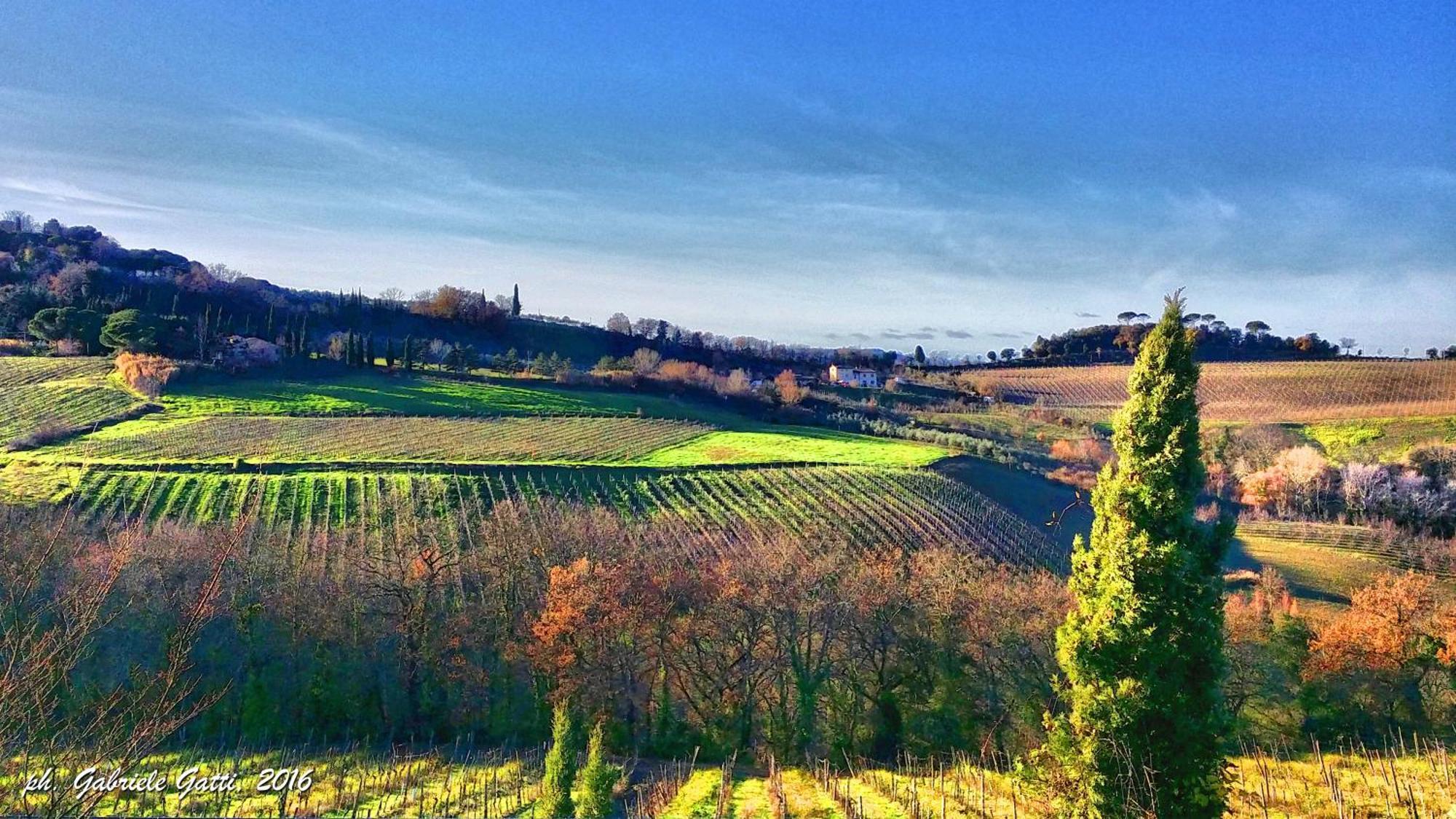 Agriturismo Casa Alle Vacche San Gimignano Eksteriør bilde