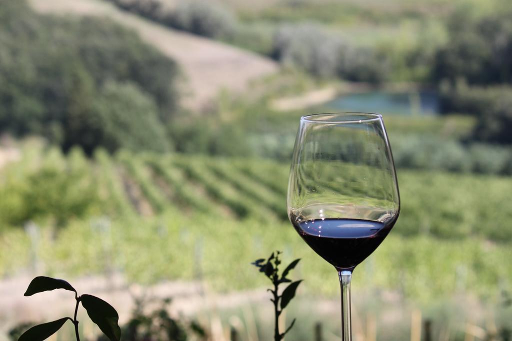 Agriturismo Casa Alle Vacche San Gimignano Eksteriør bilde