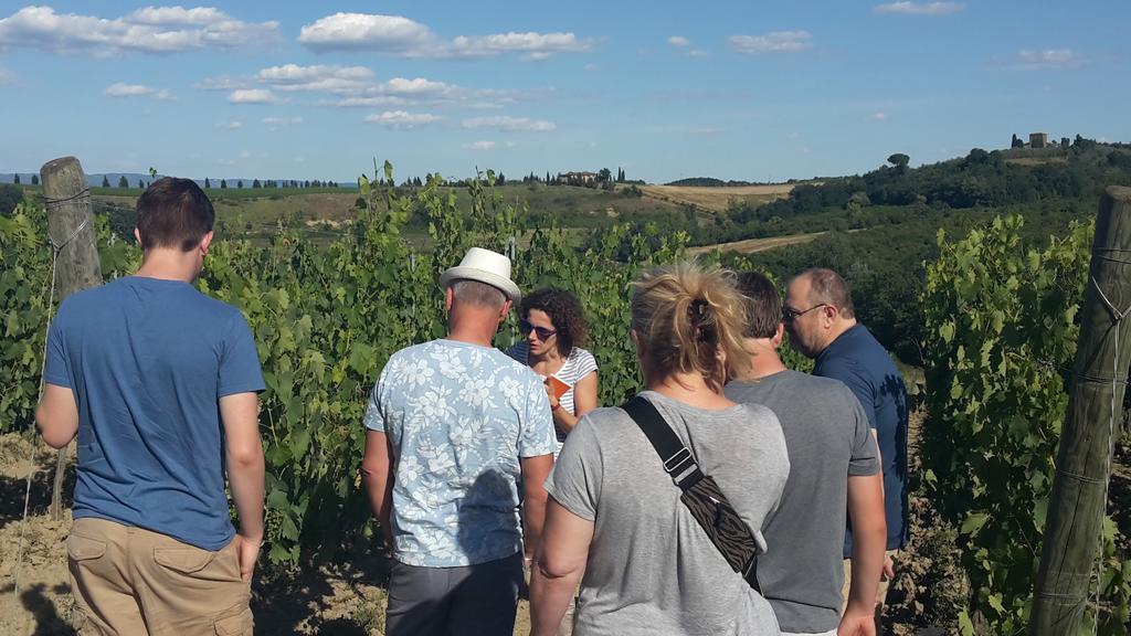 Agriturismo Casa Alle Vacche San Gimignano Eksteriør bilde