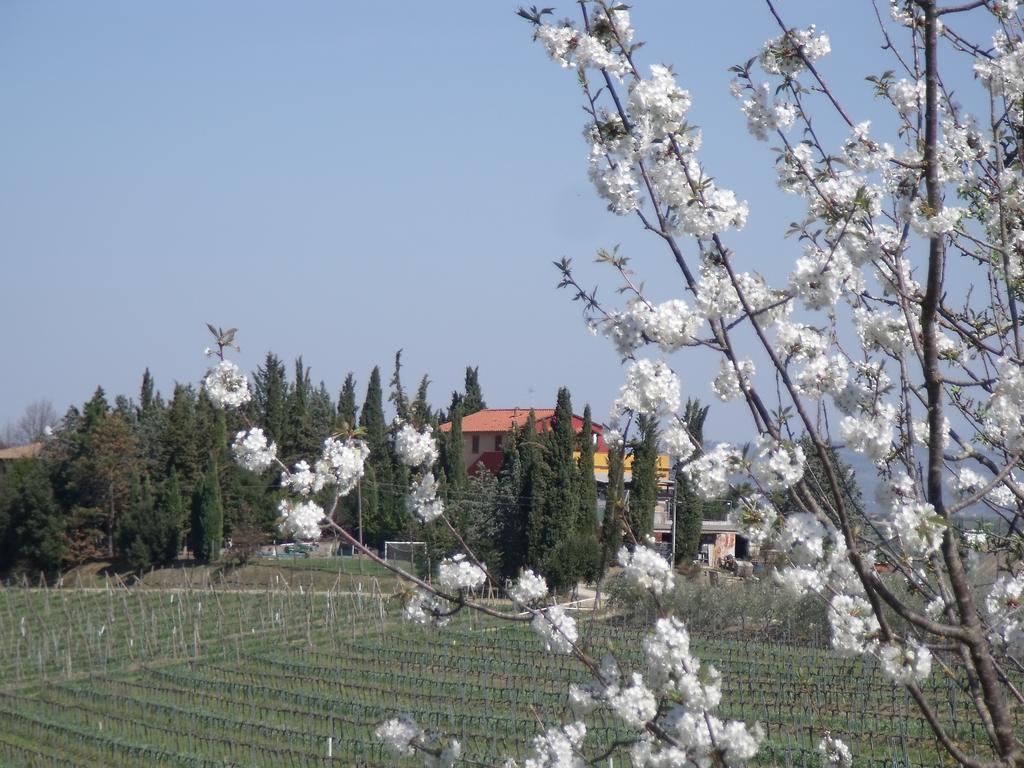 Agriturismo Casa Alle Vacche San Gimignano Eksteriør bilde